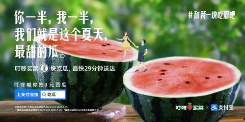 宝宝吃瓜文案,甜蜜瓜果盛宴
